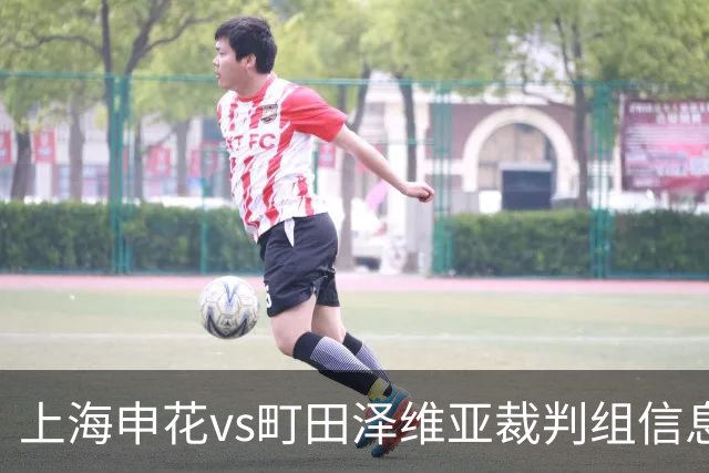 上海申花vs町田泽维亚裁判组信息