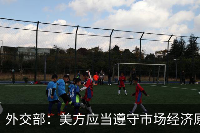 外交部：美方应当遵守市场经济原则 停止干扰企业之间的正常经贸合作