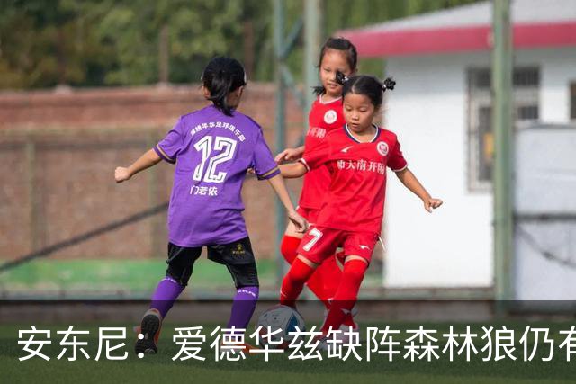 安东尼：爱德华兹缺阵森林狼仍有竞争力 现在该由三球带队赢球