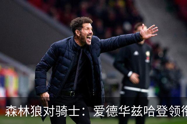 森林狼对骑士：爱德华兹哈登领衔，两队伤情成看点