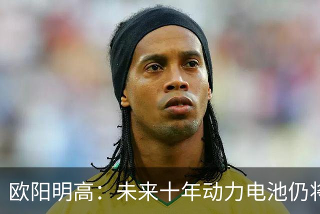 欧阳明高：未来十年动力电池仍将以磷酸铁锂为主，半固态电池不能与全固态混为一谈