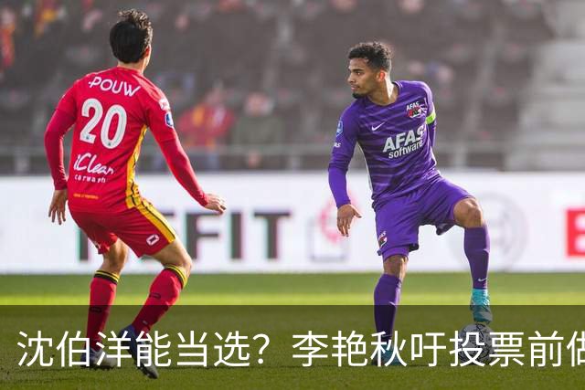 沈伯洋能当选？李艳秋吁投票前做好“三不”：一不看民调、二不看造势、三不看政论