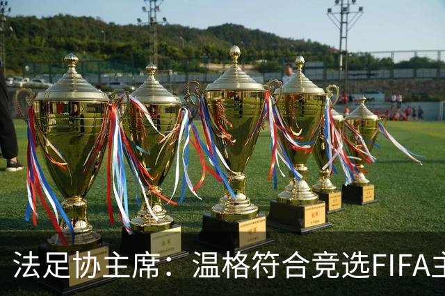 法足协主席：温格符合竞选FIFA主席的条件，由他自己决定是否参选