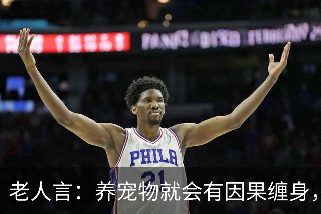 老人言：养宠物就会有因果缠身，这3件事养猫人需要知的冥界规则
