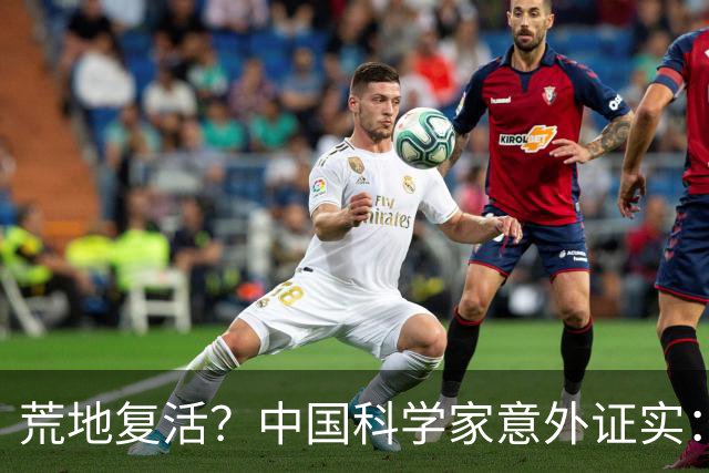 荒地复活？中国科学家意外证实：铺光伏板，竟然沙漠长出了草