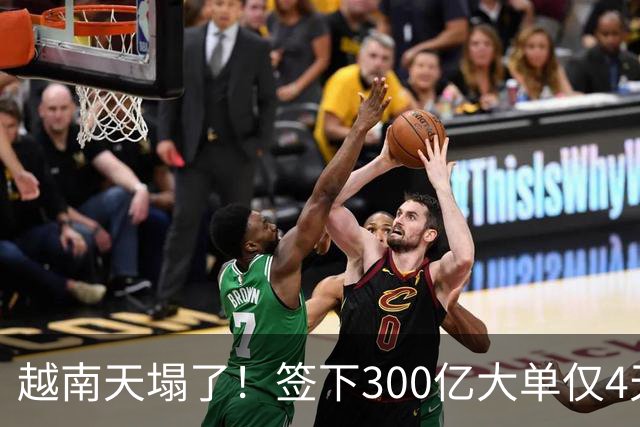 越南天塌了！签下300亿大单仅4天，中国新出一项公告，项目或流产