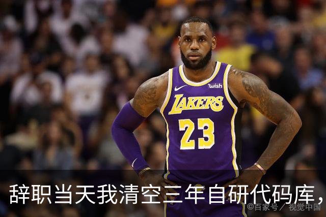 辞职当天我清空三年自研代码库，老板当众批评我，次日电脑全蓝屏