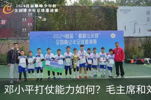 邓小平打仗能力如何？毛主席和刘伯承分别怎么评价他的表现？