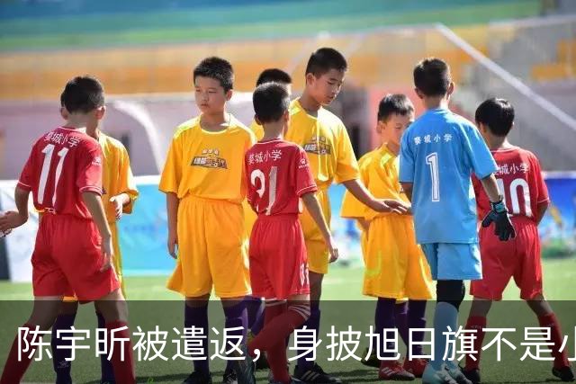 陈宇昕被遣返，身披旭日旗不是小事，网友呼吁查三代