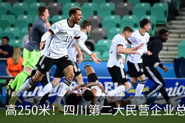 高250米！四川第二大民营企业总部，项目新进展！