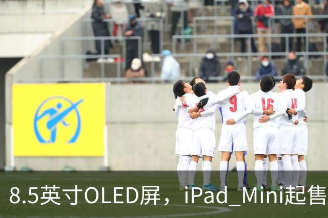 8.5英寸OLED屏，iPad Mini起售价涨到699美元